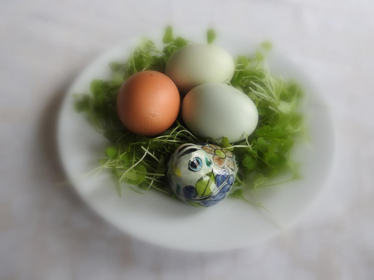The Empty Nest B & B Carrying Place Exteriör bild